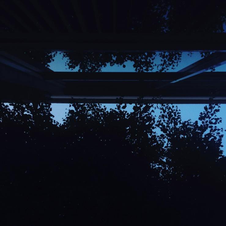 13423422_564726646985736_585858510_n